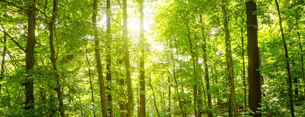 Fotolia ClimatePartner